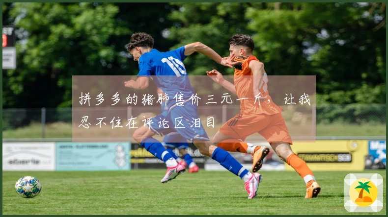 拼多多的猪肺售价三元一斤，让我忍不住在评论区泪目