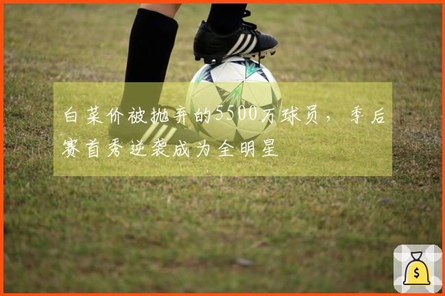 白菜价被抛弃的5500万球员，季后赛首秀逆袭成为全明星